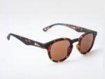 imagen bari tortoise 45º