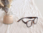 imagen bari tortoise produccion 2