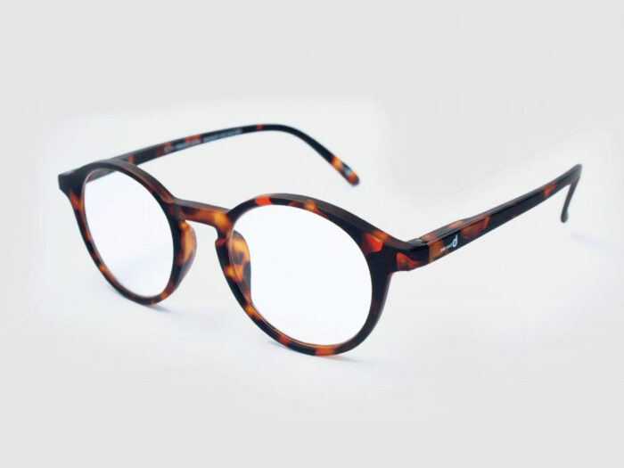 imagen capri tortoise 45º