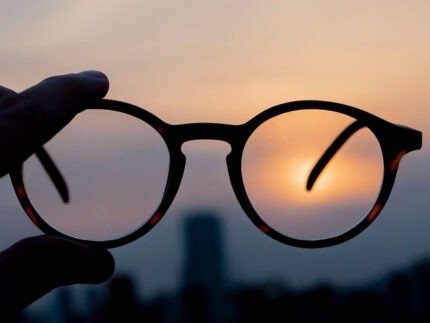 imagen capri torotise