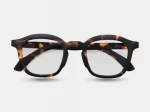 Roma_Tortoise_2025